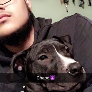 Meet your Posher, Angel